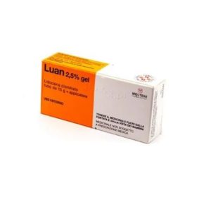 Molteni & C.F.Lli Alitti Spa Luan Gel 15 G 2,5% + Applicatore